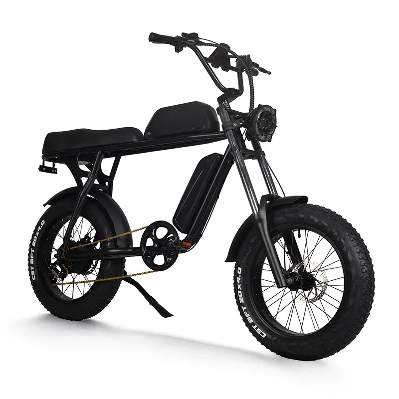 Vélo électrique de 20 pouces à double batterie, pneu large de 1000 w
