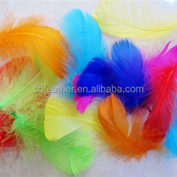 2-4 ''plumes de coque d'oie plumes d'oie naturelles teintes lavées plumes d'oie colorées en gros plumes de petite taille vers le bas plumas