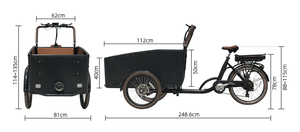 <span class=keywords><strong>Tricycle</strong></span> pour <span class=keywords><strong>adultes</strong></span> en promotion, directement de l'usine, <span class=keywords><strong>tricycle</strong></span> cargo familial avec ceintures de sécurité pour enfants - Product Image 6