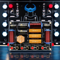 Divisor de Frecuencia XN1125 de 2 Vías en Cobre Fino para Audio HiFi, Red de Crossover de 900W para Altavoces de 12-15 Pulgadas, Divisor para Agudos/2 Graves