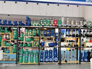 Bộ điều khiển bên ngoài năng lượng mặt trời Bơm giếng sâu 48V 140m đầu 750W DC không chổi than năng lượng mặt trời cao nâng vít bơm năng lượng mặt trời Máy bơm nước - Product Image 5