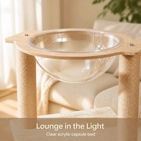 Petite tour d'arbre à chat intégrée, maison pour chat en acrylique en forme de capsule spatiale avec griffoir, fonction cage pour chat