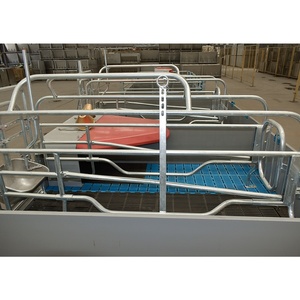 Hengyin Caisse de mise bas de porcs d'équipement agricole galvanisée par immersion à chaud de nouvelle conception - Product Image 4