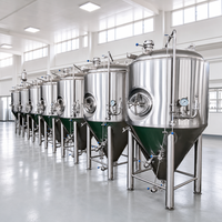 Tanks à bière Tonsen 3000L en acier inoxydable brillant, avec enveloppe chauffante (BBT) et pierre de carbonatation pour brasserie artisanale