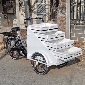 <span class=keywords><strong>Bicicleta</strong></span> eléctrica de carga con cesta, venta al por menor, 3 ruedas - Product Image 6