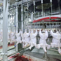 Machinerie d'abattoir et outil d'abattage de volaille