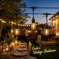 Guirlandes lumineuses LED S14 robustes pour l'extérieur, espacement des douilles personnalisable, ampoules haute tension résistantes aux intempéries, éclairage commercial pour patio