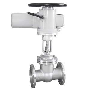 Válvula de Compuerta Eléctrica con Brida DN100 16P, Acero Inoxidable CF8, Actuador Eléctrico, Válvula de Compuerta para Agua - Product Image 2
