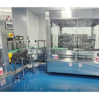 Automatische productielijn voor sinaasappelsap (1000-30000 BPH), turnkey project