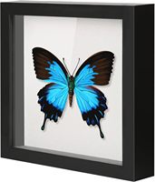 5x5 petite boîte d'ombre cadre vitrine boîte pour souvenirs, artisanat, billets et photos