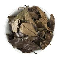 Produits à base de plantes chinoises Dong Qing Ye Holly Leaf, Ilex Chinensis Sims de haute qualité. Ingrédients alimentaires pour les herbes aromatiques et les feuilles de plantes médicinales