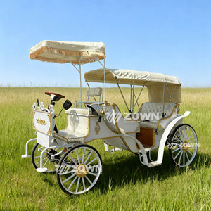 Carroza Real de Caballos para Turismo con Toldo, de Cuatro Ruedas, Vehículo Especial para Turismo, en Oferta - Product Image 1