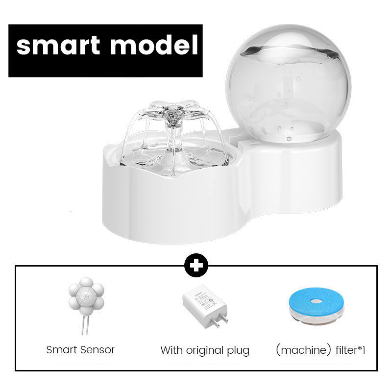 Smart version