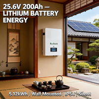 Baterai Lithium 25.6V 24V 200Ah 5kWh untuk Sistem Energi Surya yang Dipasang di Dinding