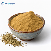 Poudre d'extrait de fenouil naturel de qualité alimentaire en gros pour la matière première des aliments et boissons fonctionnels