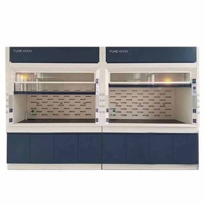 Hotte à fumées en acier avec armoires intégrées pour laboratoire de chimie - Prix réduit - Product Image 1