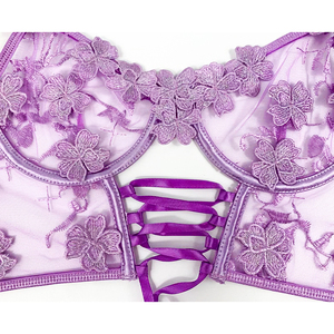 Da donna Sexy 2 pezzi Set Lingerie sensuale pizzo ricamo reggiseno trasparente con mutandine regolabili fornitore all'ingrosso OEM - Product Image 3