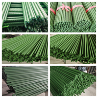 Support de Plantes Robuste pour Jardin, Piquet de Soutien Réutilisable et Durable, Ancrage Structurel Extérieur pour Aménagement Paysager et Horticulture Commerciale