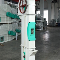 Élévateur vertical à godets RongLiang pour céréales, machine de transport de maïs, blé, riz, équipement de levage de 1 à 50 tonnes, haute capacité de traitement des céréales