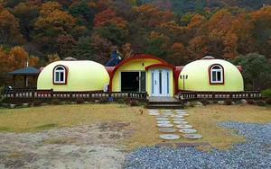 Cúpula Casa Habitación Yurta mongol Huevo Residencia <span class=keywords><strong>Esfera</strong></span> Lodge Glamping Tienda Camping Refugio - Product Image 5