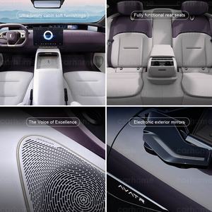 Meilleur <span class=keywords><strong>prix</strong></span> de la voiture électrique Avatar 12 Ultra Luxury Edition pour adultes, automobile, nouvelle énergie en Chine 2024 - Product Image 6