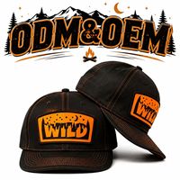 Casquette Snapback Structurée à 6 Panneaux en Sergé pour Randonneur en Plein Air avec Logo Brodé Personnalisé
