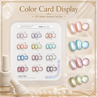 BelloGel Aurora – Kit de vernis gel magnétique œil de chat 12 couleurs, non toxique, UV LED, finition soak-off, flacon de 12 ml, vente directe usine, OEM