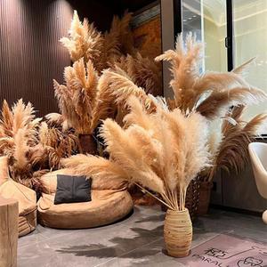 Wholesale Boho Wedding Decor Large Plume Dry Pampas Natural Real Preserved Feather <strong>Dried</strong> Pampas Artificial <strong>Plants</strong> - Product Image 2