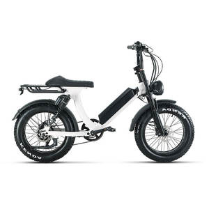 Cadre en alliage d'aluminium de 48V et 1000W pour vélo <span class=keywords><strong>électrique</strong></span>, assistance à vitesse variable, <span class=keywords><strong>VTT</strong></span> tout-terrain - Product Image 6
