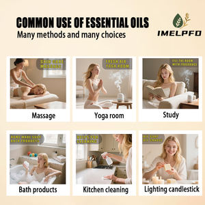 <span class=keywords><strong>Olio</strong></span> <span class=keywords><strong>di</strong></span> <span class=keywords><strong>Calendula</strong></span> Puro Naturale Pressato a Freddo, <span class=keywords><strong>Olio</strong></span> Vettore Biologico per la Cura della Pelle, Massaggio Viso e Corpo, Vendita all'Ingrosso, Protegge la Pelle - Product Image 4