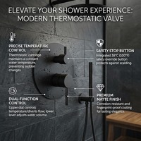 Mitigeur de douche encastré en laiton brossé, double poignée, avec inverseur d'eau chaude et froide, fixation murale pour salle de bain