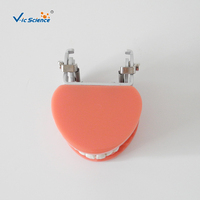 Modelo Dental de 28 Dientes Removibles con Encía Dura, Articulador FE para Entrenamiento de Dentistas, Cirugía Oral, CE ISO ROHS CNAS
