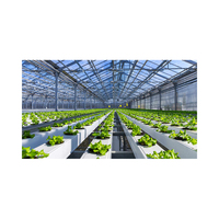 Serre agricole multi-chapelle en PVC blanc de haute qualité pour système hydroponique NFT, avec structure en acier et éclairage de croissance économe en eau