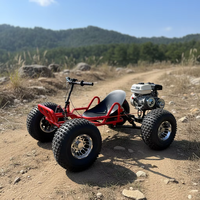 Buggy de Carreras para Adultos de 212cc y 4 Tiempos a Gasolina con Chasis de Alta Resistencia para Diversión en Parques de Atracciones al Aire Libre, Go Kart