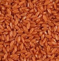 Échelle de pesée miniature pour maison de poupée, riz et céréales réalistes à l'échelle 1:1, pour cuisine de maison de poupée, petit cadeau pour enfants