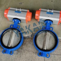 Vanne papillon en acier inoxydable pour applications marines offshore 316L/304/CF8M/Duplex 2205 4"/6"/8"/10" Classe 300 à brides