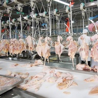 Abattoir de viande de volaille Équipement de traitement d'abattage