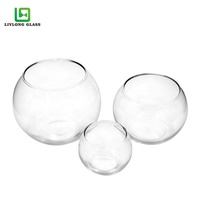 Pot de Poisson en Verre Rond Clair, Vente Chaude, Plusieurs Tailles, pour Plantes ou Bonsaïs, Vente en Gros
