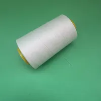 Fil à coudre 40/2 en polyester filé 100% haute ténacité, 5000 yards, couleur beige, semi-terne, teint, pour broderie au point de croix