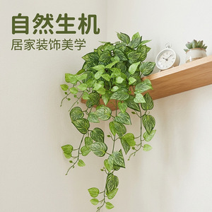 Plante Artificielle Suspendue Xinchengzhi 100cm-200cm, Décoration Intérieure Écologique, Mur Végétal, Liane - Product Image 1