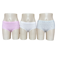 Nouveauté Sous-vêtements unisexes jetables non tissés Culottes de voyage respirantes pour femmes Vente en gros Spa