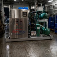 Machine à glace en flocons industrielle à eau de mer de grande capacité fabriquée en Chine