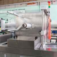 Machine d'emballage sous vide automatique électrique LWT en acier inoxydable 304 pour sachets, papier, feuille métallique, dattes, viande, fromage