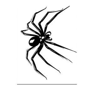 Petit autocollant de tatouage semi-permanent en forme d'araignée, imperméable, à base de plantes, pour le bras et le corps, durable 2 semaines - Product Image 5