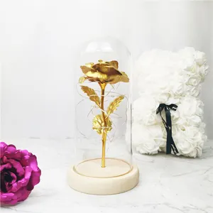 Wholesale in popular Valentines Day Gift LED Light String Colorful 24k Gold Foil Rose Flowers Galaxy Rose In Glass Dome