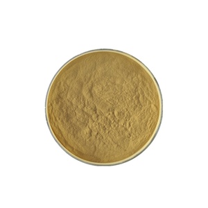 Extracto de Hongo Chanterelle (Cantarellus <span class=keywords><strong>Cibarius</strong></span>) en Polvo, 30% Polisacáridos, Grado Alimenticio, Extraído con Solvente, Empaquetado en Tambor, Alta Calidad - Product Image 2