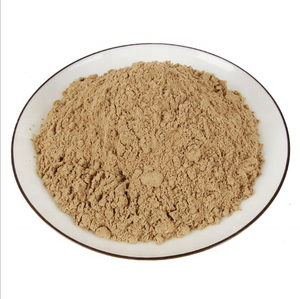 HONGDAストレートパウダー80メッシュBan Lan Geng <span class=keywords><strong>Radix</strong></span> <span class=keywords><strong>Isatidis</strong></span>エキス - Product Image 2