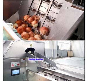 Ligne de production de cercles d'oignons Machine de découpe de racines d'épluchage de tête d'oignon Usine de traitement de nettoyage de lavage d'oignons - Product Image 6