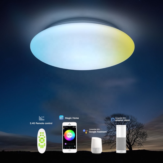 Luxury Smart Ceiling Light Lamp Flush Mount LED WiFi Compatible Dimmable Fixture Bedroom Living Room 12 Inch