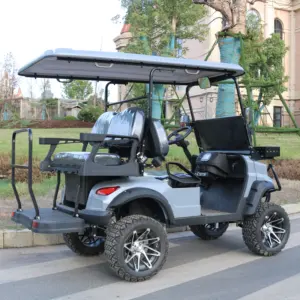 厂家供应48v 5kw 2 + 2座电动4轮驱动带挡风玻璃的高尔夫球车